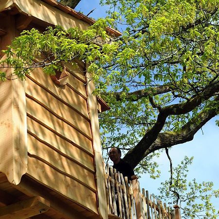 La Cabane Du Vieux Chene Susmiou Eksteriør billede
